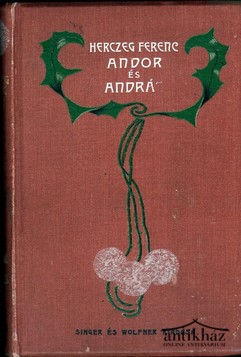 Könyv: Andor és András