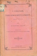 Online antikvárium: A csillagok nyelvhagyományainkban