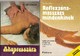 Online antikvárium: Akupresszúra ; Reflexzóna-masszázs mindenkinek (2 mű)