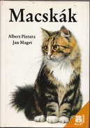 Online antikvárium: Macskák