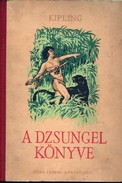 Online antikvárium: A dzsungel könyve